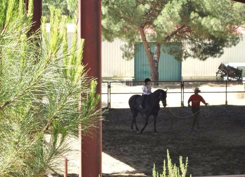 Coudelaria Vale Pau Villa Coruche Kamer foto